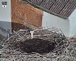 Capi_Dubne_20260830_075004.jpg