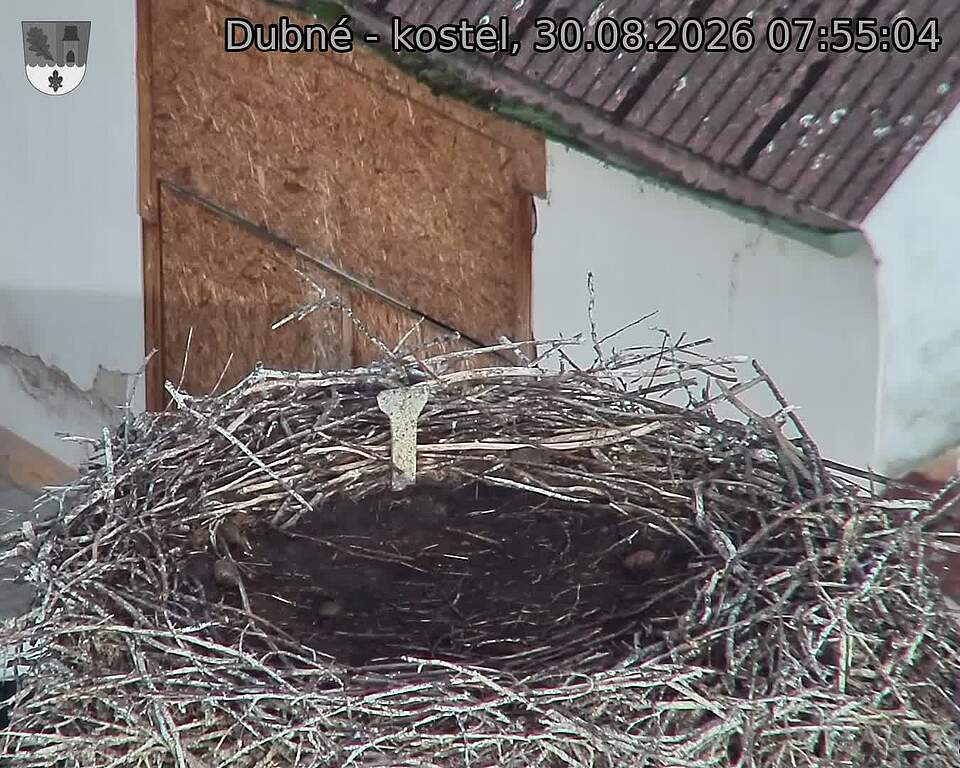 Capi_Dubne_20260830_075504.jpg (1350&nbsp;x&nbsp;1080)