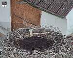 Capi_Dubne_20260830_075504.jpg
