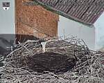 Capi_Dubne_20260830_080005.jpg