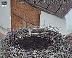 Capi_Dubne_20260830_083003.jpg