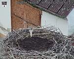 Capi_Dubne_20260830_084003.jpg