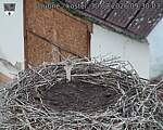 Capi_Dubne_20260830_093003.jpg