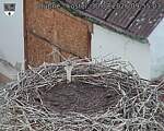 Capi_Dubne_20260830_095503.jpg