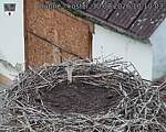 Capi_Dubne_20260830_101003.jpg