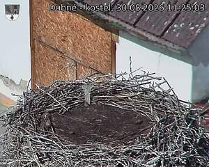 preload