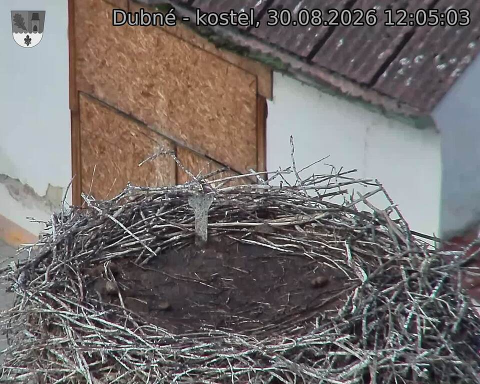 preload
