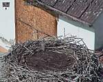 Capi_Dubne_20260830_121003.jpg