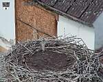 Capi_Dubne_20260830_123503.jpg