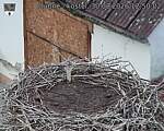 Capi_Dubne_20260830_125002.jpg