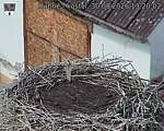 Capi_Dubne_20260830_132002.jpg