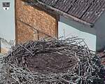 Capi_Dubne_20260830_133503.jpg