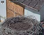 Capi_Dubne_20260830_134503.jpg