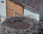 Capi_Dubne_20260830_135003.jpg