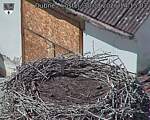 Capi_Dubne_20260830_141503.jpg
