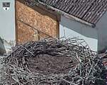 Capi_Dubne_20260830_143505.jpg