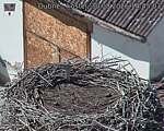 Capi_Dubne_20260830_144503.jpg