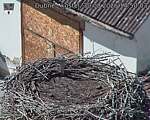 Capi_Dubne_20260830_145003.jpg