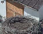 Capi_Dubne_20260830_151002.jpg