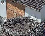 Capi_Dubne_20260830_152003.jpg
