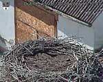 Capi_Dubne_20260830_153003.jpg