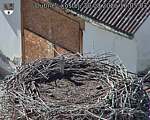Capi_Dubne_20260830_160503.jpg