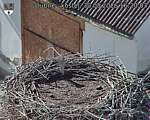 Capi_Dubne_20260830_162003.jpg