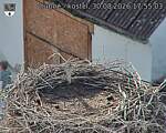 Capi_Dubne_20260830_175503.jpg