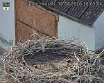 Capi_Dubne_20260830_180504.jpg