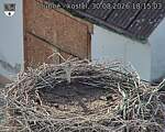 Capi_Dubne_20260830_181503.jpg