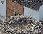 Capi_Dubne_20260830_182003.jpg