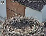 Capi_Dubne_20260830_182503.jpg