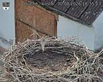 Capi_Dubne_20260830_183503.jpg