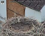 Capi_Dubne_20260830_184003.jpg