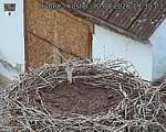 Capi_Dubne_20260830_193003.jpg