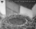 Capi_Dubne_20260830_201002.jpg