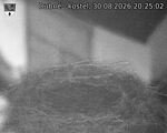 Capi_Dubne_20260830_202502.jpg