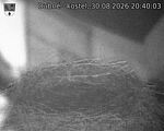 Capi_Dubne_20260830_204003.jpg