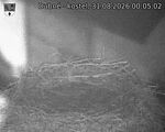 Capi_Dubne_20260831_000502.jpg