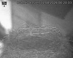Capi_Dubne_20260831_002003.jpg