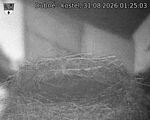 Capi_Dubne_20260831_012503.jpg