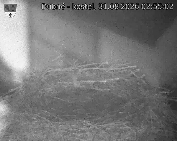 preload