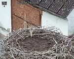 Capi_Dubne_20260831_063002.jpg