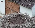 Capi_Dubne_20260831_065502.jpg