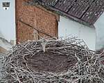 Capi_Dubne_20260831_070004.jpg