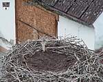 Capi_Dubne_20260831_070504.jpg