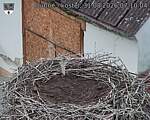 Capi_Dubne_20260831_071004.jpg