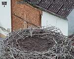 Capi_Dubne_20260831_072504.jpg