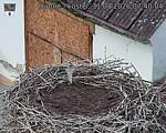 Capi_Dubne_20260831_074004.jpg