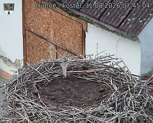 preload